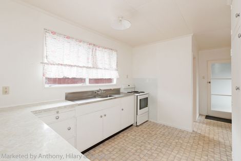 Photo of property in 84a Fitzroy Street, Terrace End, Palmerston North, 4410