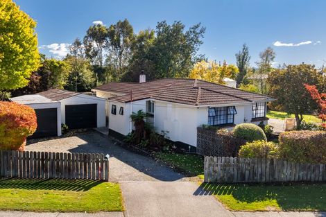 Photo of property in 8 Pope Street, Milton, 9220