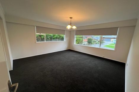 Photo of property in 8a Copeland Street, Hutt Central, Lower Hutt, 5011