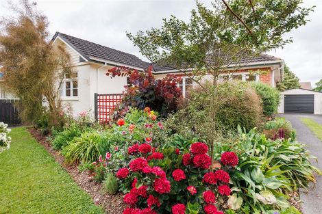 Photo of property in 55 Savage Crescent, West End, Palmerston North, 4412