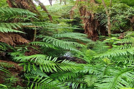 Photo of property in 8 Leith Crescent, Greymouth, 7805