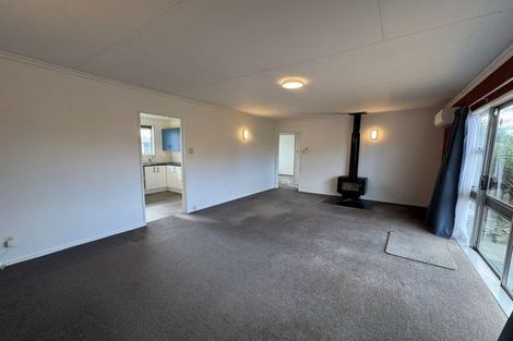 Photo of property in 149 Stanford Street North, Ashhurst, 4810
