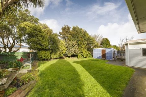 Photo of property in 456 Ruahine Street, Terrace End, Palmerston North, 4410
