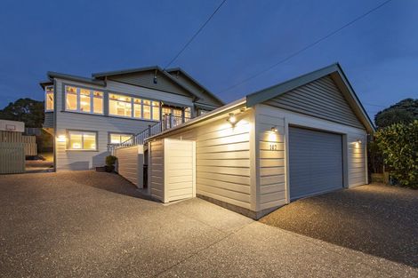 Photo of property in 167 Coutts Street, Rongotai, Wellington, 6022