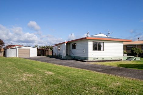 Photo of property in 14 Miller Place, Ngatea, 3503