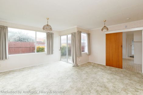 Photo of property in 84a Fitzroy Street, Terrace End, Palmerston North, 4410