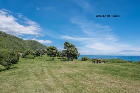 Photo of property in 73 Ames Street, Paekakariki, 5034