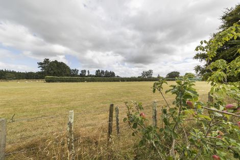 Photo of property in 84 Mulgrave Street, Ashhurst, 4810