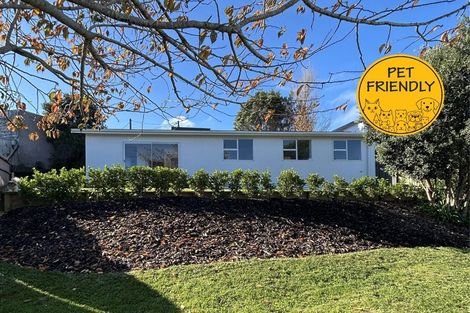 Photo of property in 163b Pembroke Street, Westown, New Plymouth, 4310