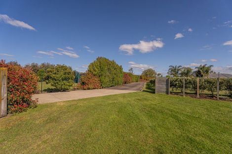 Photo of property in 12 Austin Drive, Whitianga, 3510