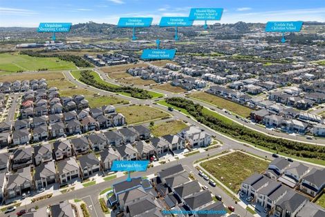 Photo of property in 53 Ksenia Drive, Flat Bush, Auckland, 2019