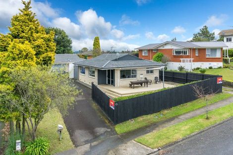 Photo of property in 42a Alison Street, Hamilton Lake, Hamilton, 3204