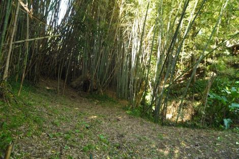 Photo of property in 1/333 Triangle Road, Massey, Auckland, 0614