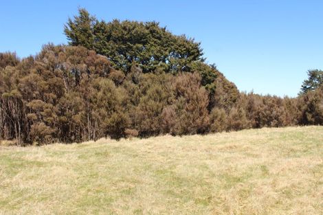 Photo of property in 15/133 Matapuna Road, Horopito, Raetihi, 4696