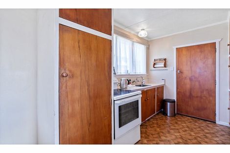 Photo of property in 195 Lagan Street, Bluff, 9814