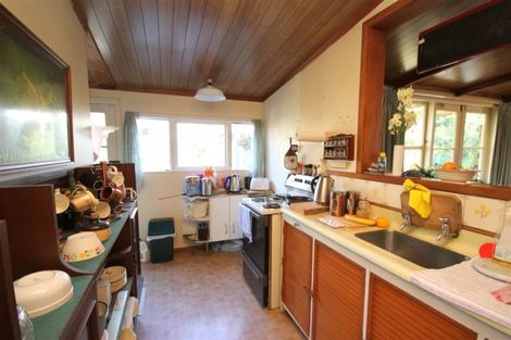 Photo of property in 51 Poland Street, Waikino, Waihi, 3682