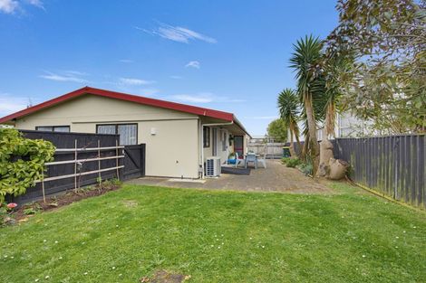 Photo of property in 133 Tiro Tiro Road, Levin, 5510
