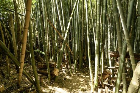 Photo of property in 1191 Cameron Road, Gate Pa, Tauranga, 3112