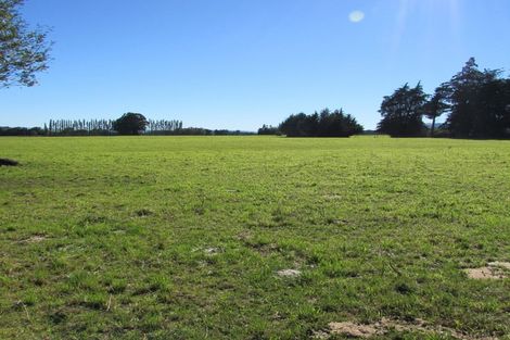 Photo of property in 274 Sheddan Road, Tapanui, 9587