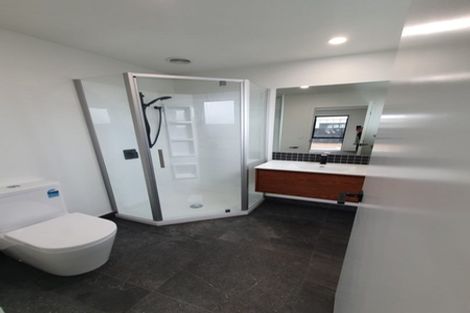 Photo of property in 183 Victoria Street West, Pukekohe, 2120