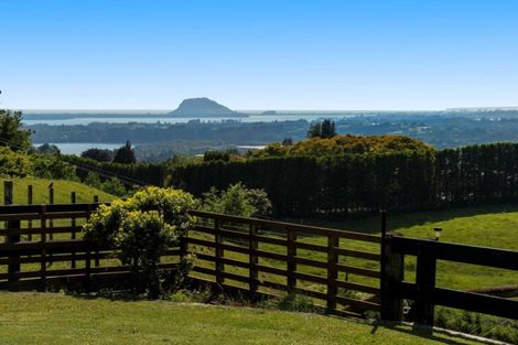 Photo of property in 198 Whakamarama Road, Whakamarama, Tauranga, 3179