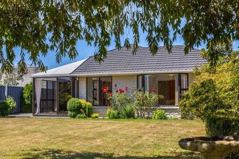 Photo of property in 20c Essex Street, Masterton, 5810