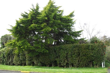 Photo of property in 35 James Street, Inglewood, 4330