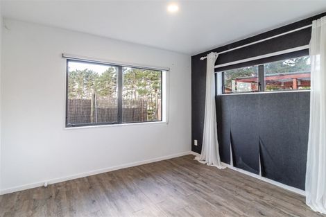 Photo of property in 3 Zeralto Lane, Mount Roskill, Auckland, 1041