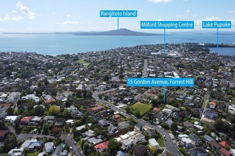 Photo of property in 15 Gordon Avenue, Forrest Hill, Auckland, 0620