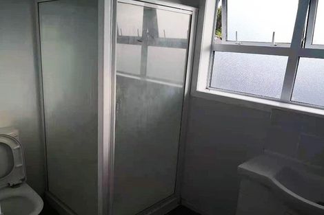 Photo of property in 60 Webster Avenue, Mount Roskill, Auckland, 1041