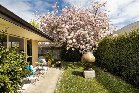 Photo of property in 6 Spring Haven Place, Springlands, Blenheim, 7201