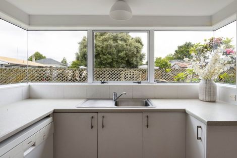 Photo of property in 45 Brookfield Street, Hamilton East, Hamilton, 3216