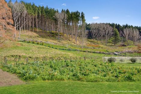 Photo of property in 2323 Wharekopae Road, Ngatapa, Gisborne, 4072