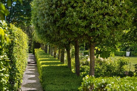 Photo of property in 31 Inkerman Street, Renwick, 7204