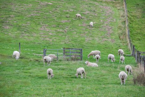 Photo of property in 16 Woodside Road, Woodside, Outram, 9073