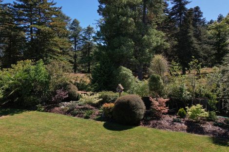 Photo of property in 16 Robinson Street, Cheviot, 7310