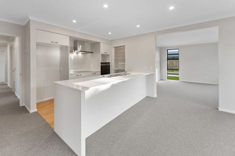 Photo of property in 10 Lotus Street, Appleby, Richmond, 7020