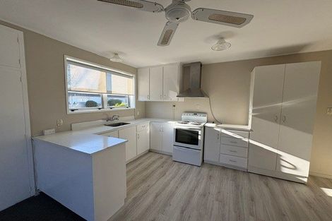 Photo of property in 88 Eton Street, Hampstead, Ashburton, 7700