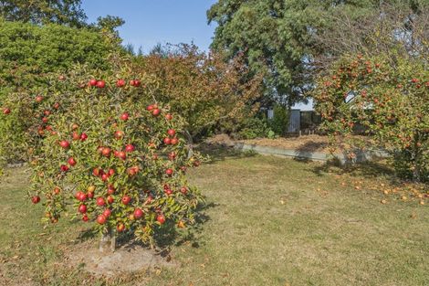 Photo of property in 8 Marion Place, Lincoln, 7608