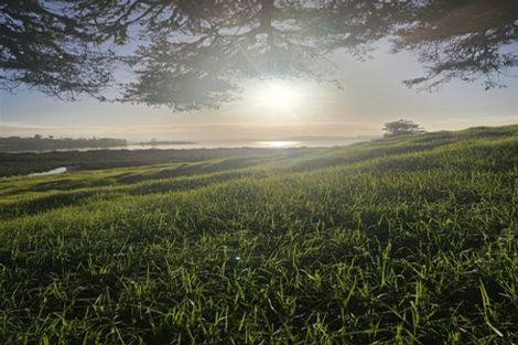 Photo of property in 47 Matahehe Lane, Tinopai, 0593