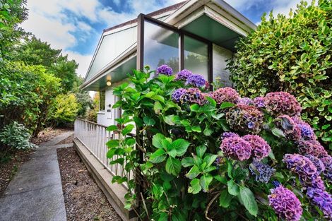 Photo of property in 223 Mary Street, Richmond, Invercargill, 9810