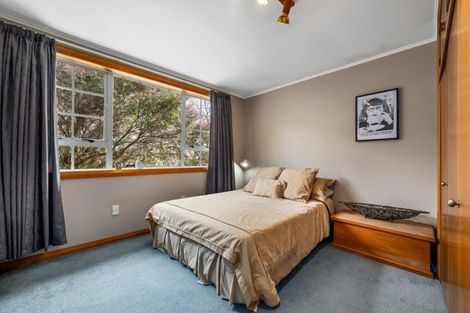 Photo of property in 19 Burden Street, Redwoodtown, Blenheim, 7201