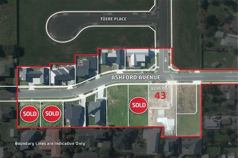 Photo of property in 43 Ashford Avenue, Hokowhitu, Palmerston North, 4410