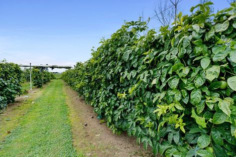 Photo of property in 459 Muhunoa Road East, Muhunoa East, Levin, 5570