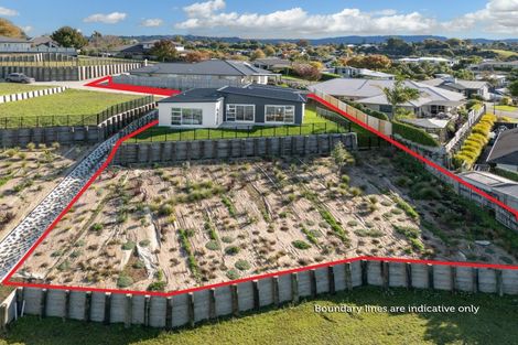 Photo of property in 1 Ireland Way, Bethlehem, Tauranga, 3110