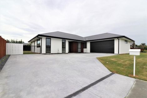 Photo of property in 33 Carston Street, Leeston, 7632
