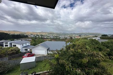 Photo of property in 89 Te Puia Drive, Aotea, Porirua, 5024