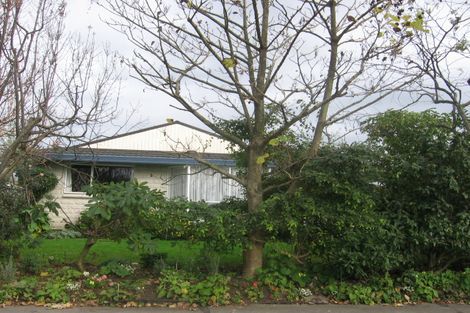 Photo of property in 184 Amberley Avenue, Highbury, Palmerston North, 4412