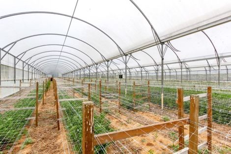 Photo of property in 1066 Egmont Road, Egmont Village, New Plymouth, 4372