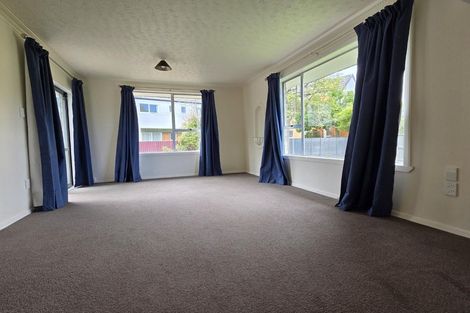 Photo of property in 60 Aldwins Road, Phillipstown, Christchurch, 8062